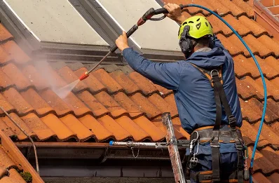 Démoussage et hydrofuge de toiture à Manas-Bastanous